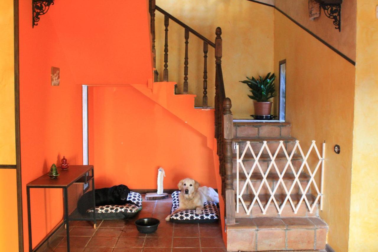 Casa Rural Baobab Romancos المظهر الخارجي الصورة